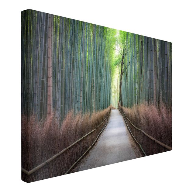 Billeder landskaber The Path Through The Bamboo