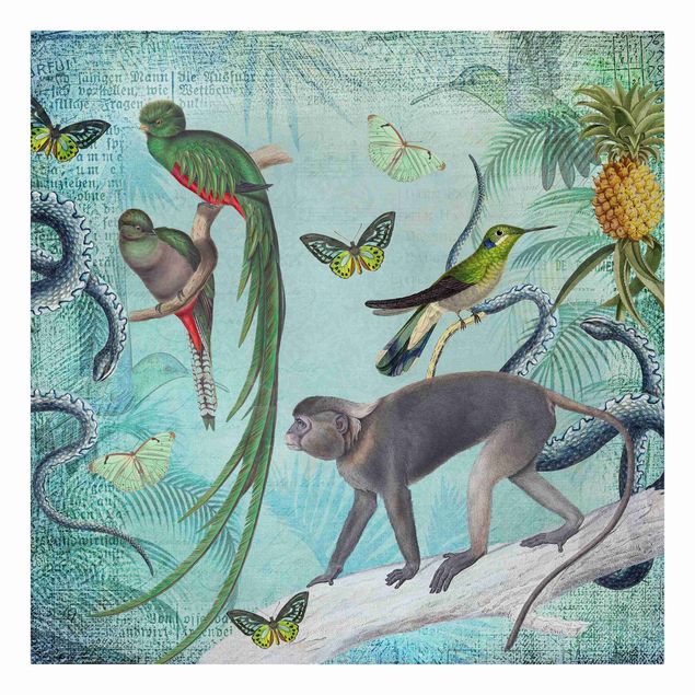 Billeder på lærred fugle Colonial Style Collage - Monkeys And Birds Of Paradise