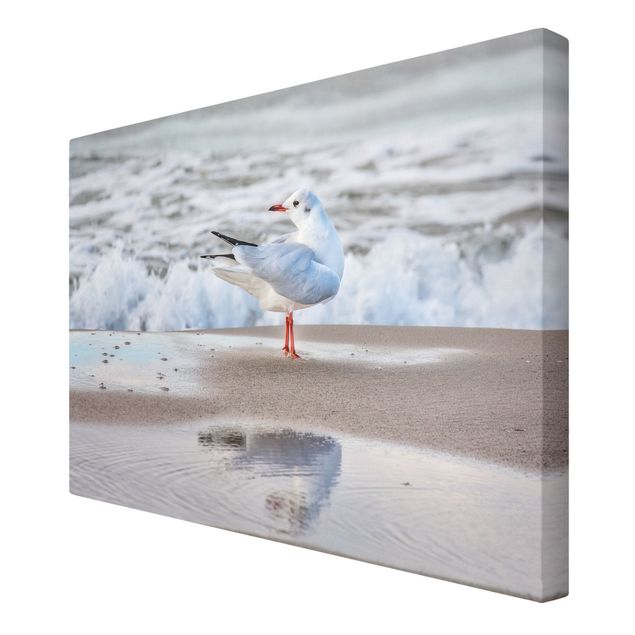 Billeder på lærred kunsttryk Seagull On The Beach In Front Of The Sea