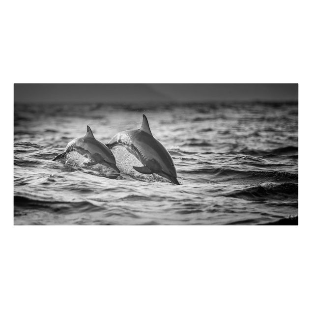 Billeder på lærred dyr Two Jumping Dolphins