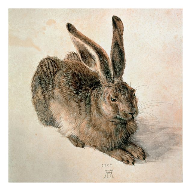 Billeder på lærred vintage Albrecht Dürer - Young Hare