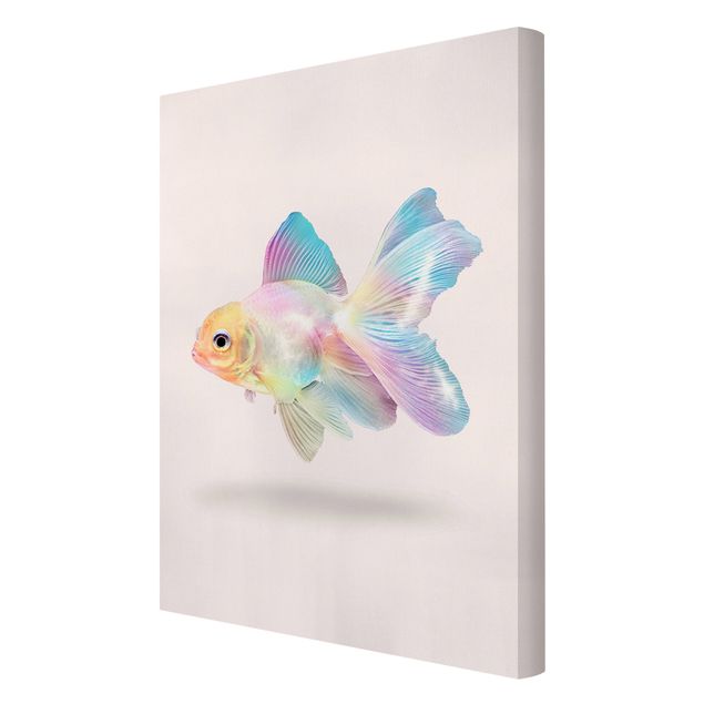 Billeder på lærred dyr Fish In Pastel