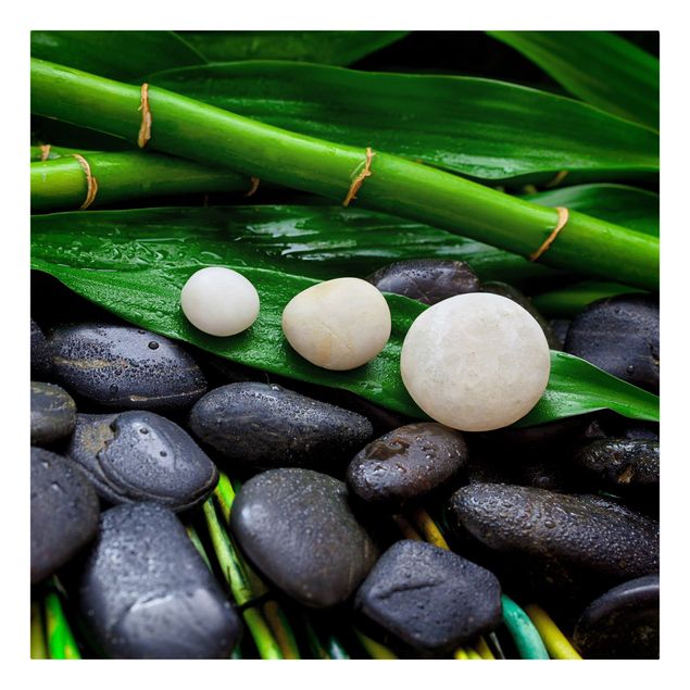 Billeder på lærred blomster Green Bamboo With Zen Stones
