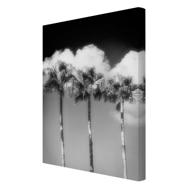 Billeder sort og hvid Palm Trees Against The Sky Black And White