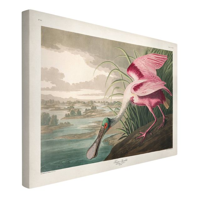 Billeder på lærred landskaber Vintage Board Pink Sturgeon