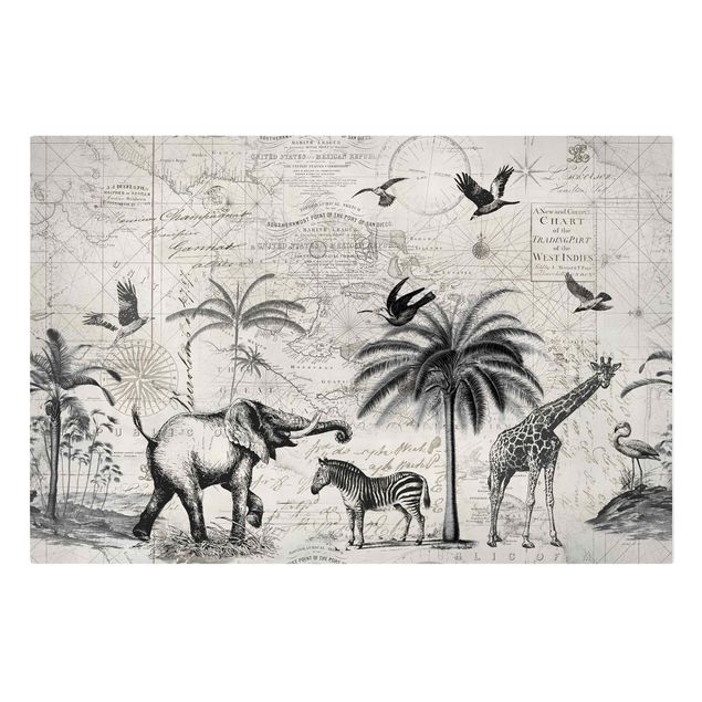 Billeder giraffer Vintage Collage - Exotic Map