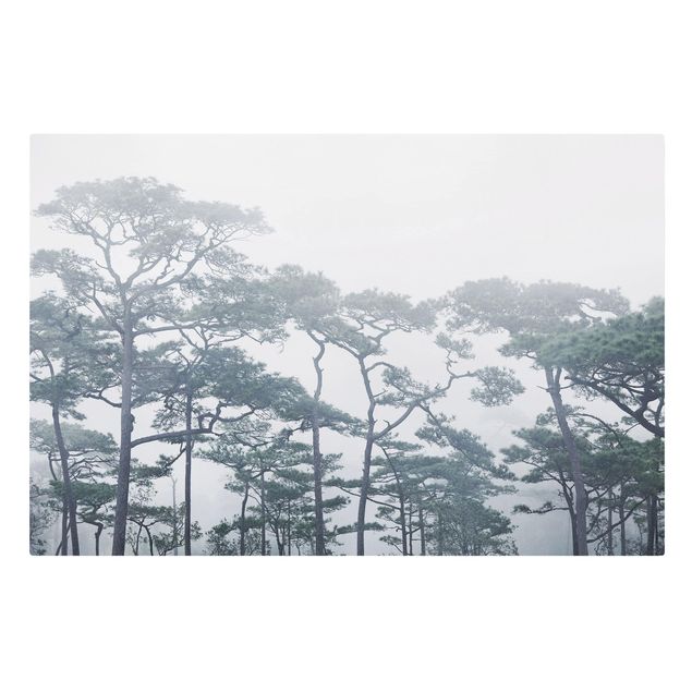 Billeder på lærred skove Treetops In Fog