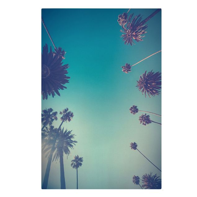 Billeder blomster Tropical Plants Palm Trees And Sky II