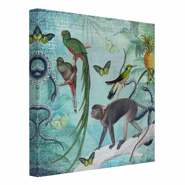 Billeder på lærred sommerfugle Colonial Style Collage - Monkeys And Birds Of Paradise