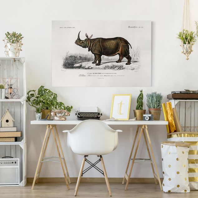 Billeder på lærred Afrika Vintage Board Rhino