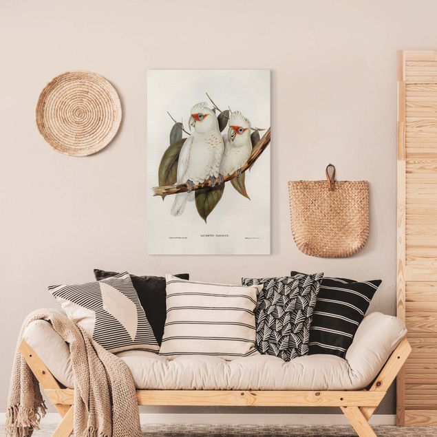 Billeder på lærred fugle Vintage Illustration White Cockatoo