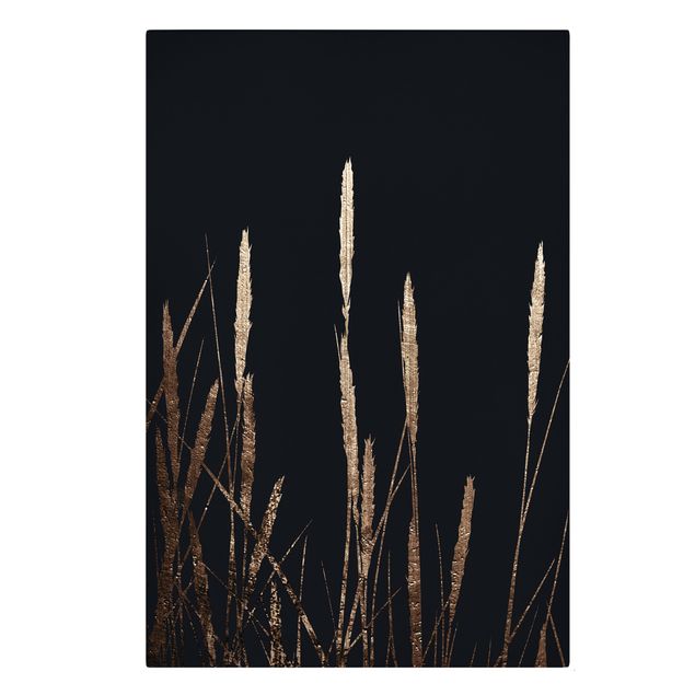 Billeder blomster Graphical Plant World - Golden Reed