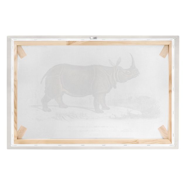 Billeder brun Vintage Board Rhino