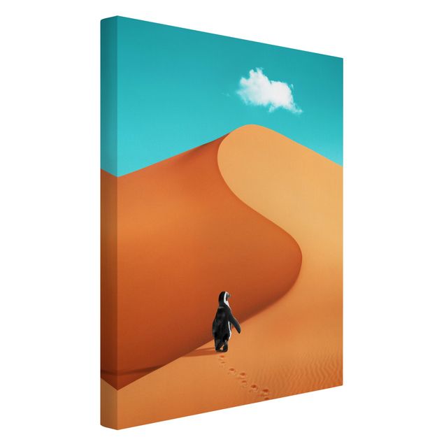 Billeder landskaber Desert With Penguin