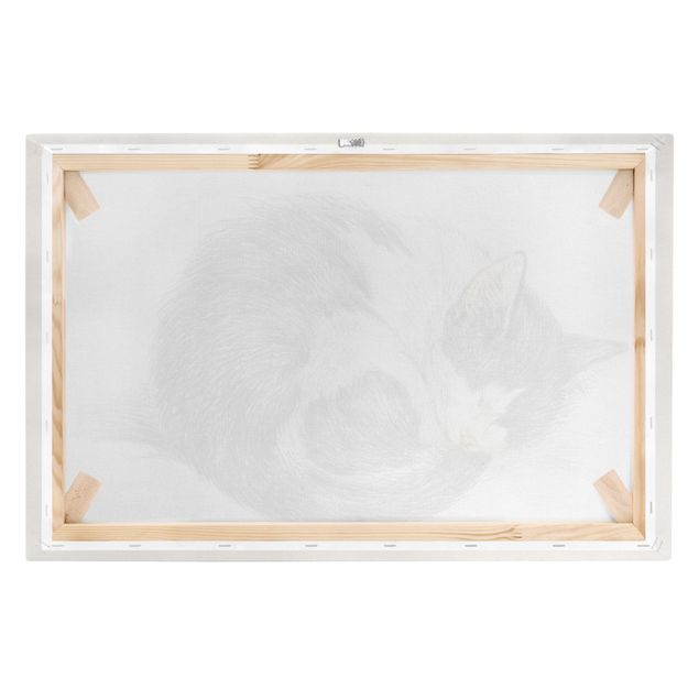 Billeder sort og hvid Vintage Drawing Cat II