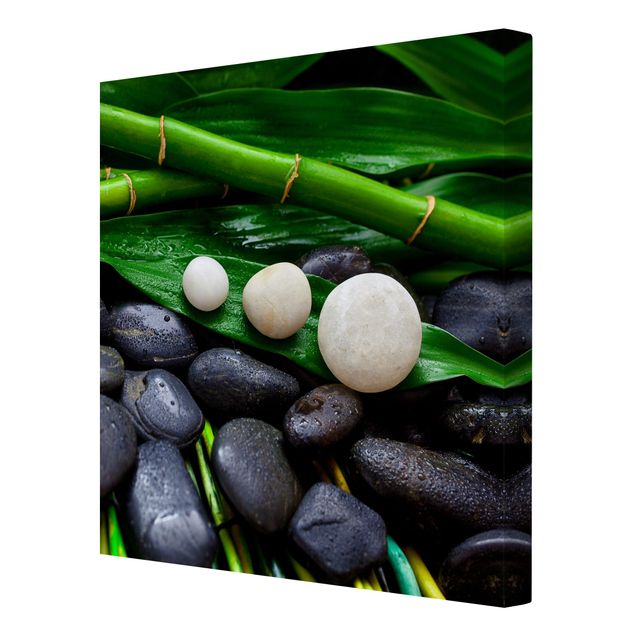 Billeder blomster Green Bamboo With Zen Stones