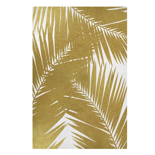 Billeder blomster View Through Golden Palm Leaves