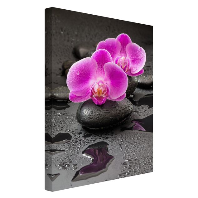 Billeder på lærred stenlook Pink Orchid Flower On Stones With Drops