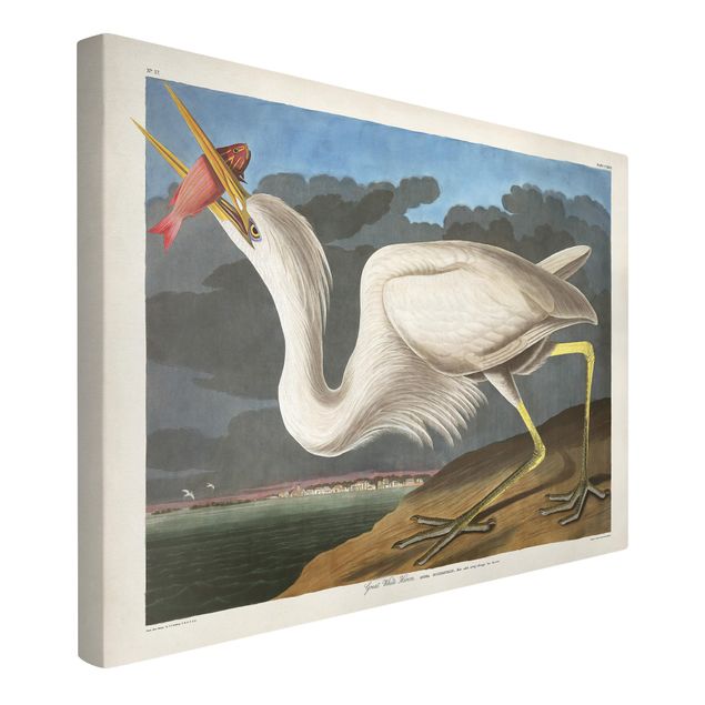Billeder på lærred fugle Vintage Board Great White Egret