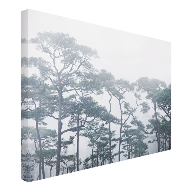 Billeder på lærred landskaber Treetops In Fog