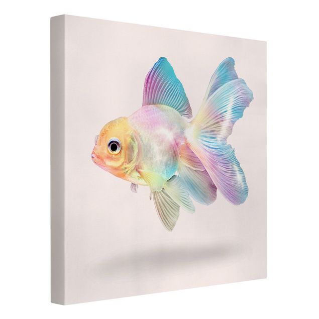 Billeder på lærred kunsttryk Fish In Pastel