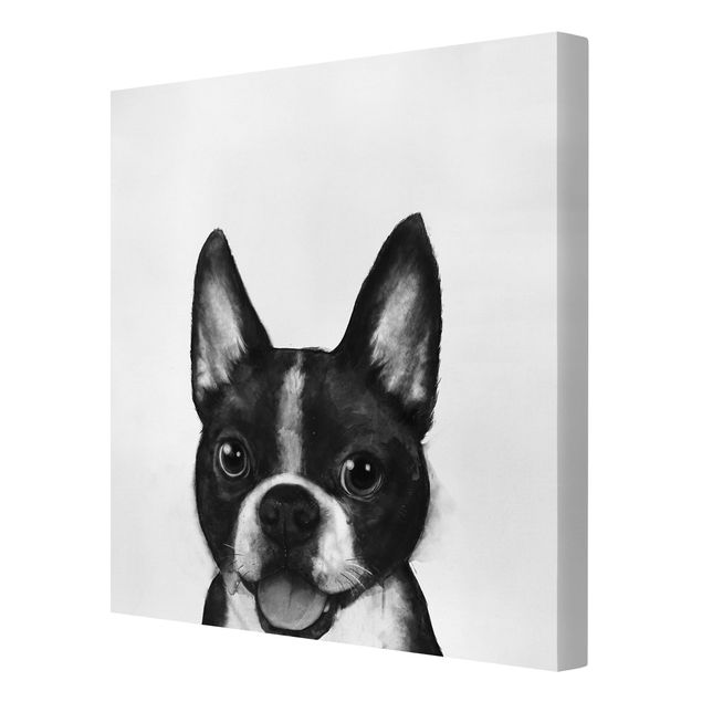 Billeder kunsttryk Illustration Dog Boston Black And White Painting