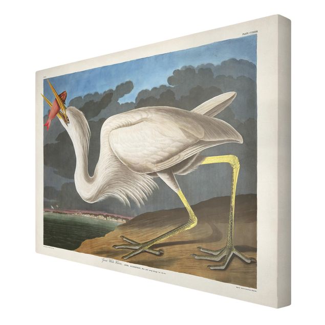 Billeder på lærred dyr Vintage Board Great White Egret