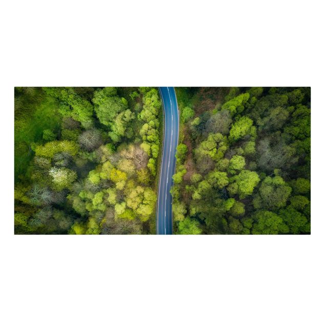 Billeder på lærred skove Aerial View - Asphalt Road In The Forest