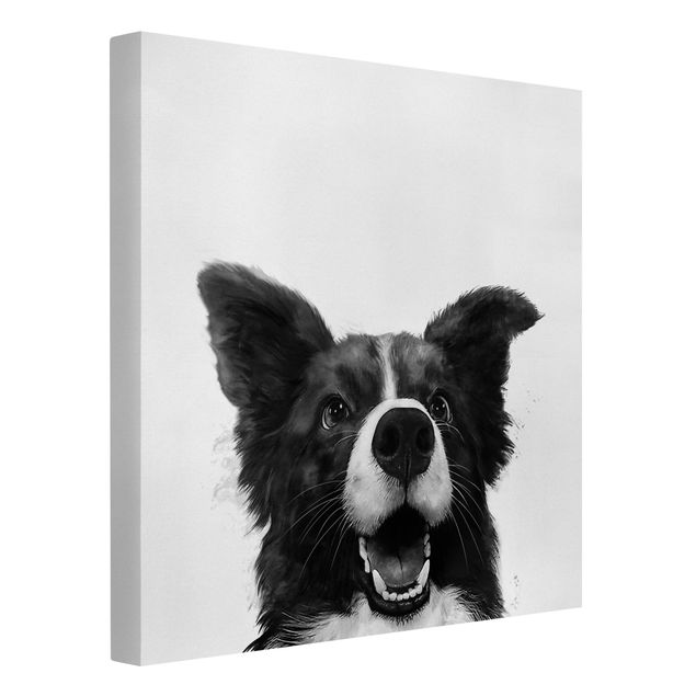 Billeder på lærred sort og hvid Illustration Dog Border Collie Black And White Painting
