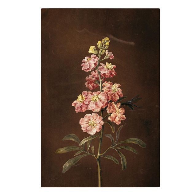 Billeder blomster Barbara Regina Dietzsch - A Light Pink Gillyflower