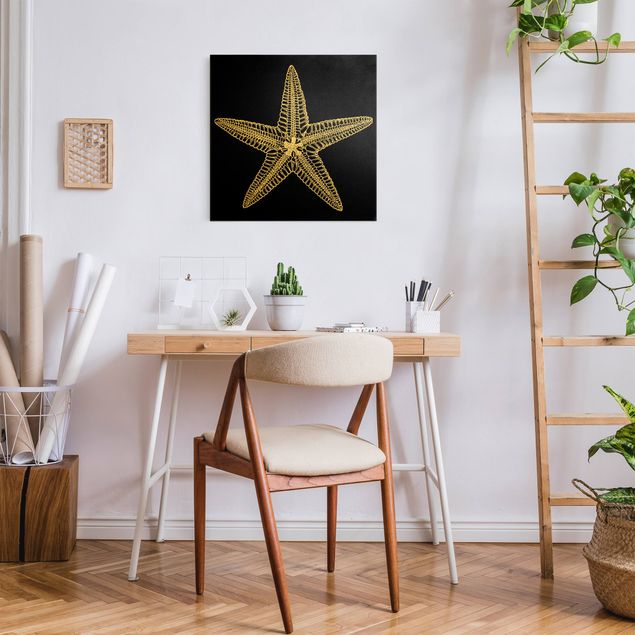 Billeder moderne Illustration Starfish On Black