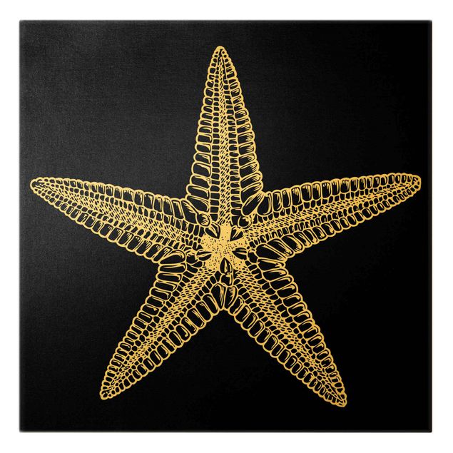 Billeder sort Illustration Starfish On Black