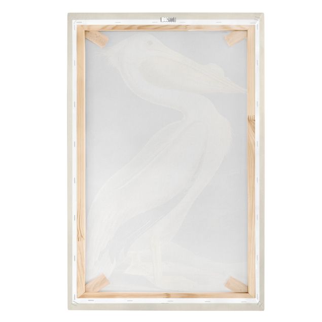 Billeder Vintage Board White Pelican