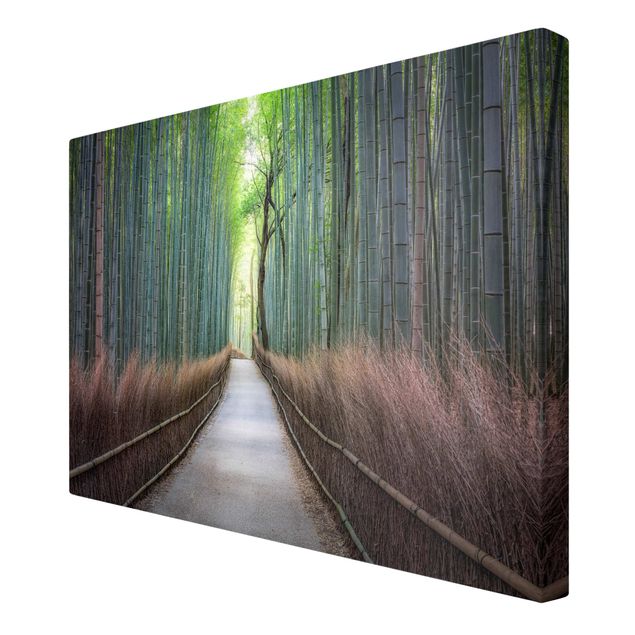 Billeder arkitektur og skyline The Path Through The Bamboo