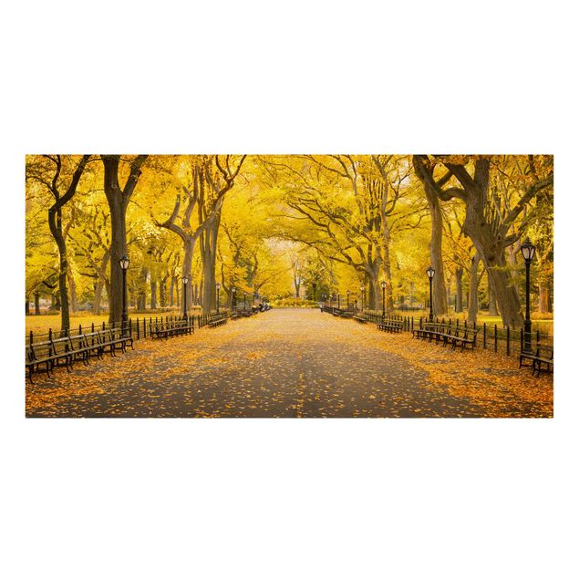 Billeder arkitektur og skyline Autumn In Central Park