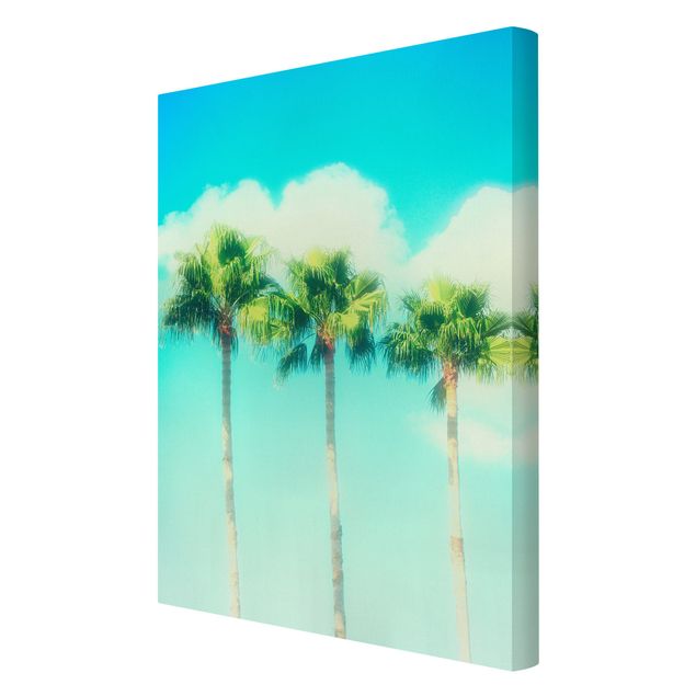 Billeder blå Palm Trees Against Blue Sky