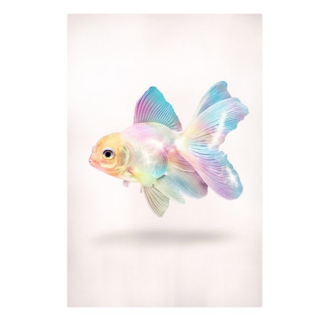 Billeder kunsttryk Fish In Pastel