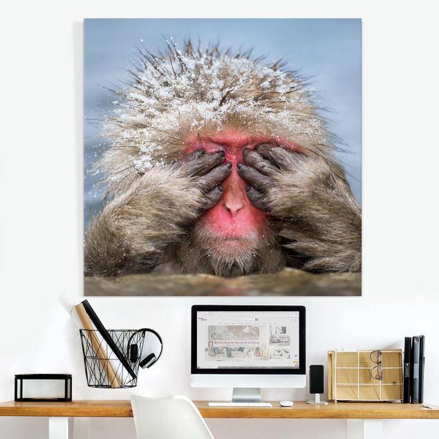 Billeder på lærred aber Japanese Macaque