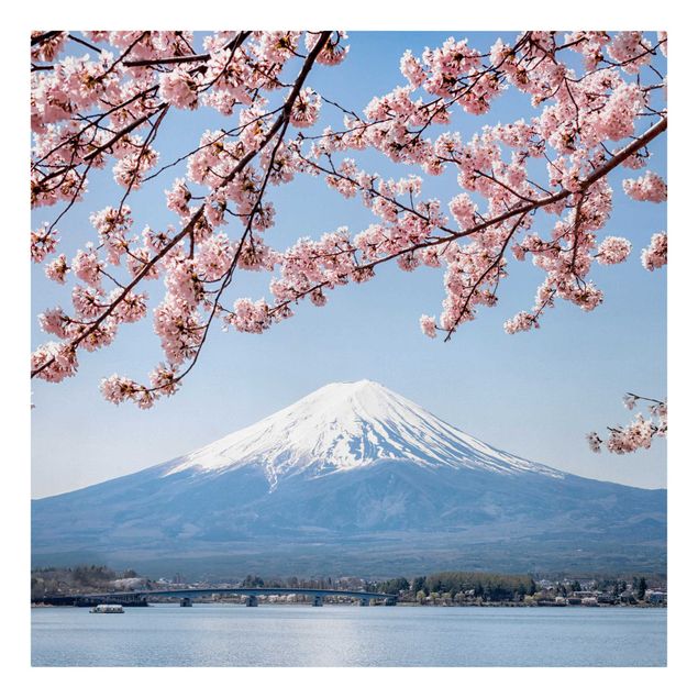 Billeder bjerge Cherry Blossoms With Mt. Fuji