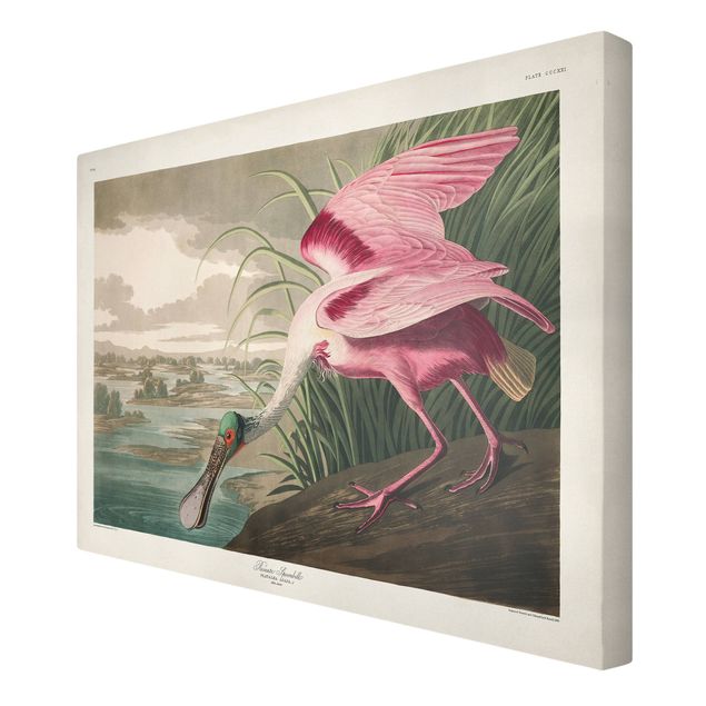 Billeder på lærred dyr Vintage Board Pink Sturgeon