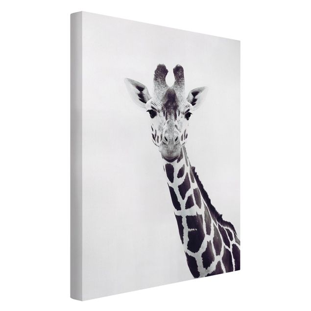 Billeder på lærred sort og hvid Giraffe Portrait In Black And White