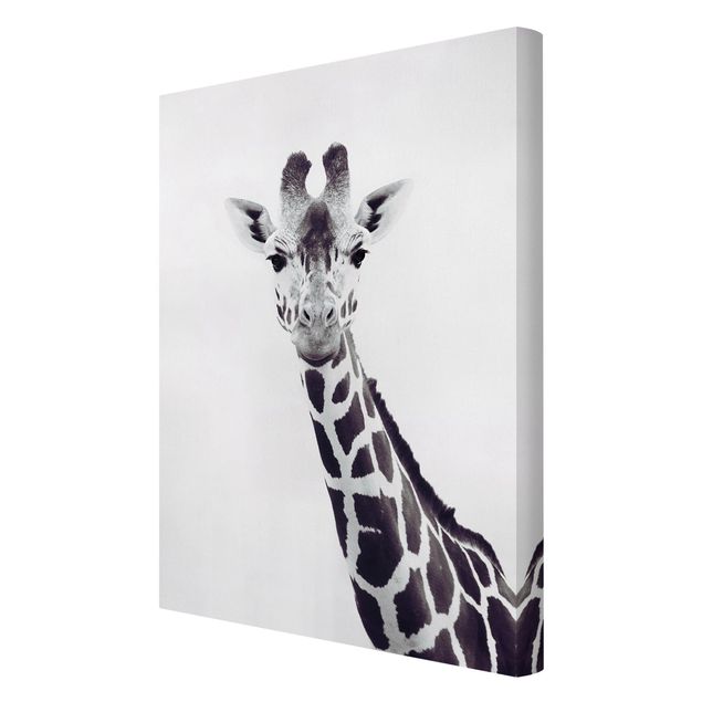 Billeder moderne Giraffe Portrait In Black And White