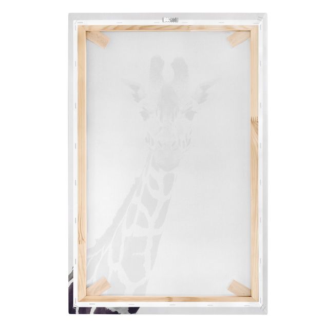 Billeder sort og hvid Giraffe Portrait In Black And White