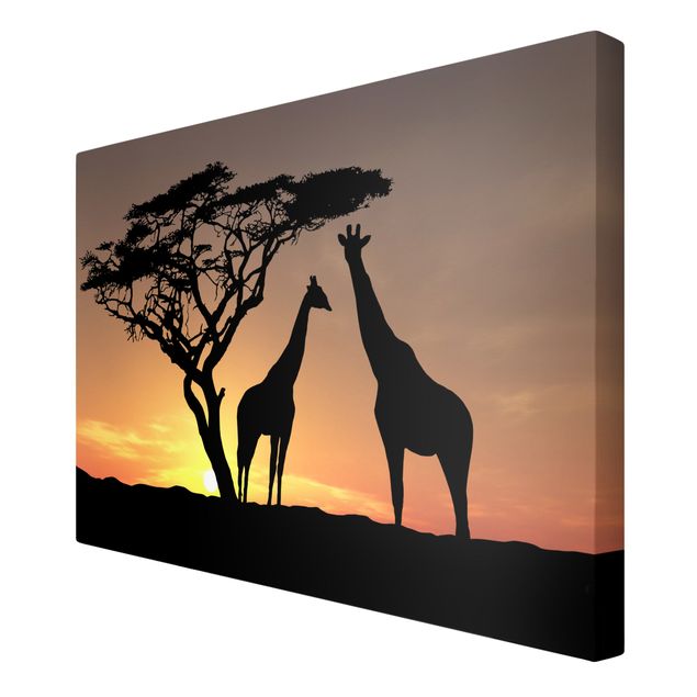 Billeder landskaber African Sunset