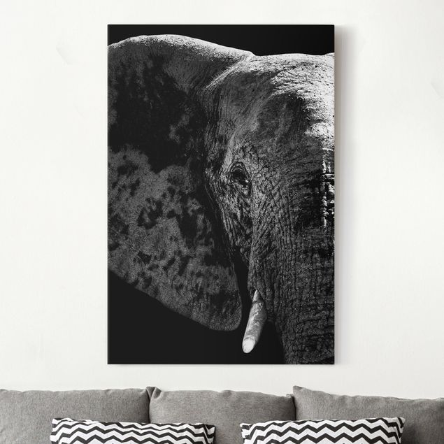 Billeder på lærred elefanter African Elephant black and white