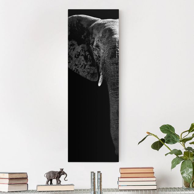 Billeder på lærred elefanter African Elephant black and white