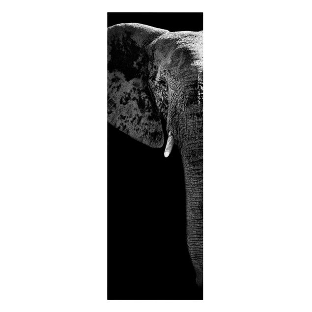 Billeder på lærred sort og hvid African Elephant black and white