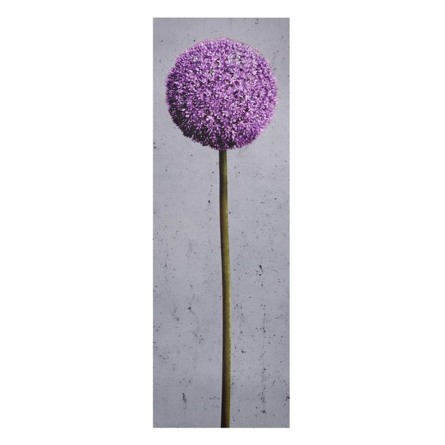 Billeder Allium Round-Headed Flower