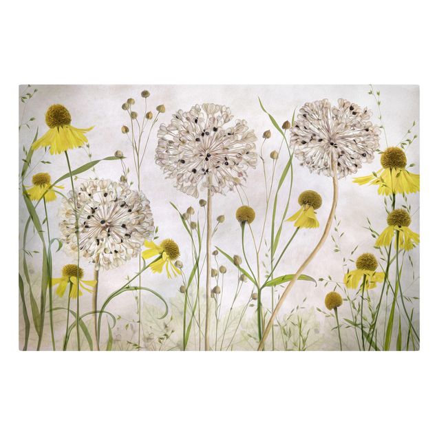 Billeder på lærred blomster Allium And Helenium Illustration