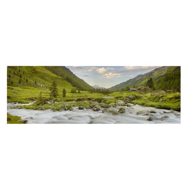 Billeder landskaber Alpine meadow Tirol